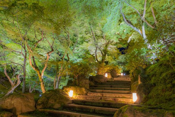 【周辺観光】青もみじが美しい＜東福寺＞