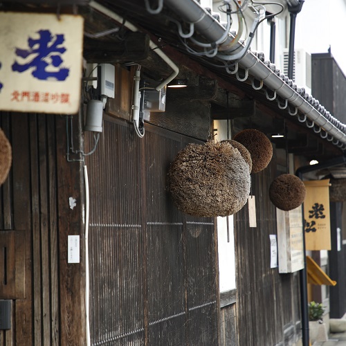玄関より先に広がっているのは、江戸末期より残る酒蔵通りの街並みでございます