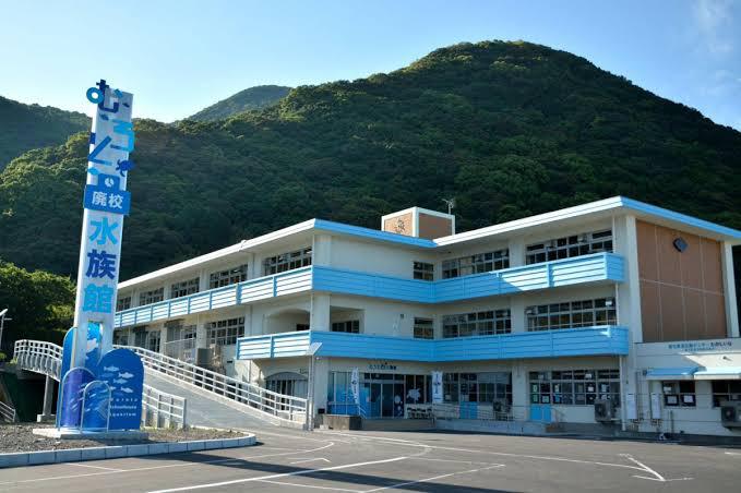 近隣アクティビティ:むろと廃校水族館