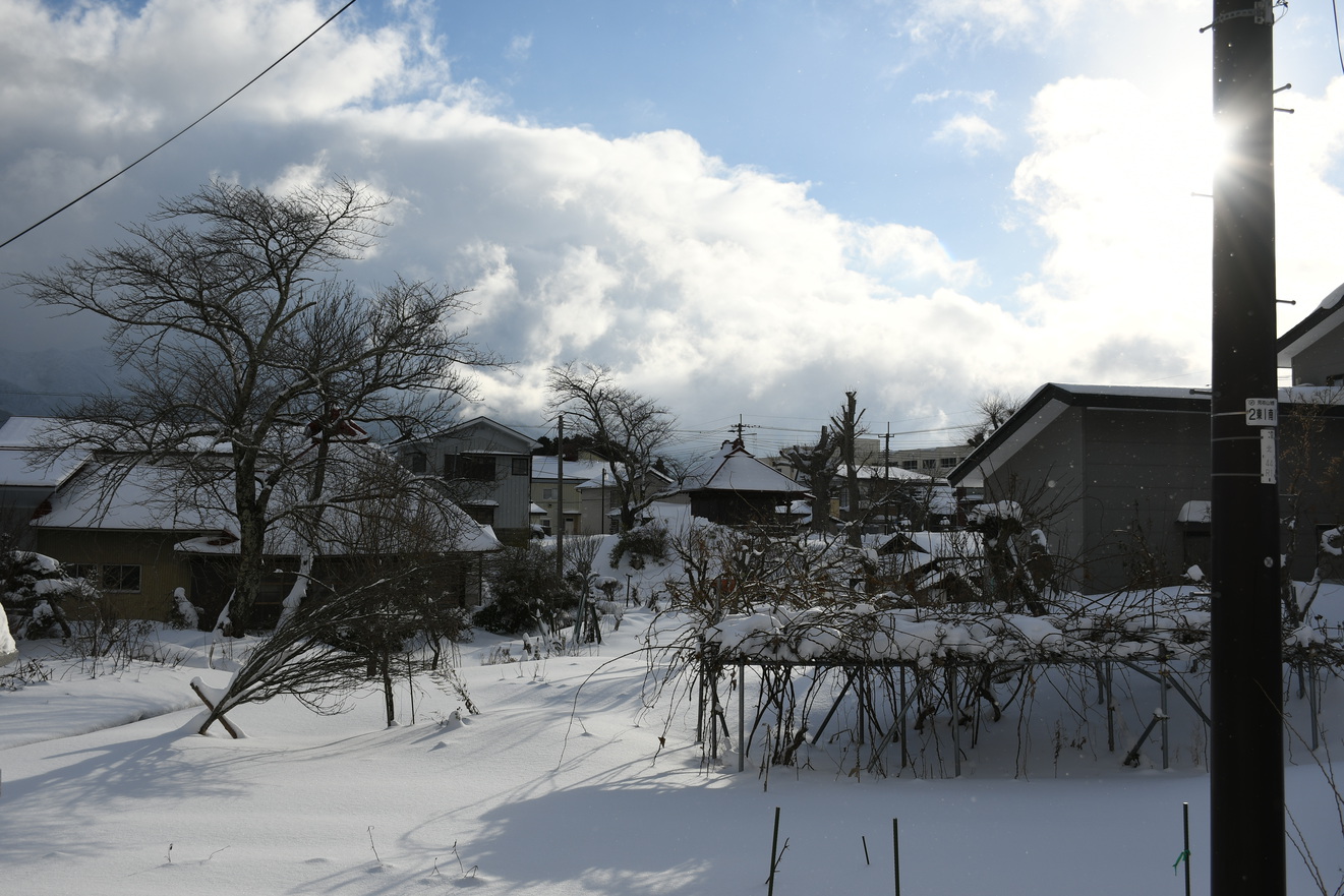 当館前からの田舎の素敵な風景