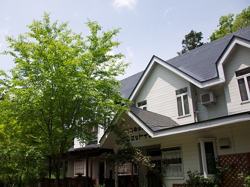 This photo about Pension & Cottage Sunset Inn shared on HyHotel.com
