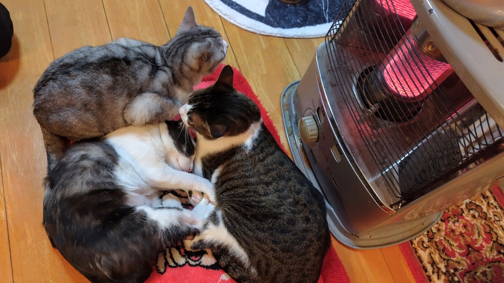 ストーブ前にて