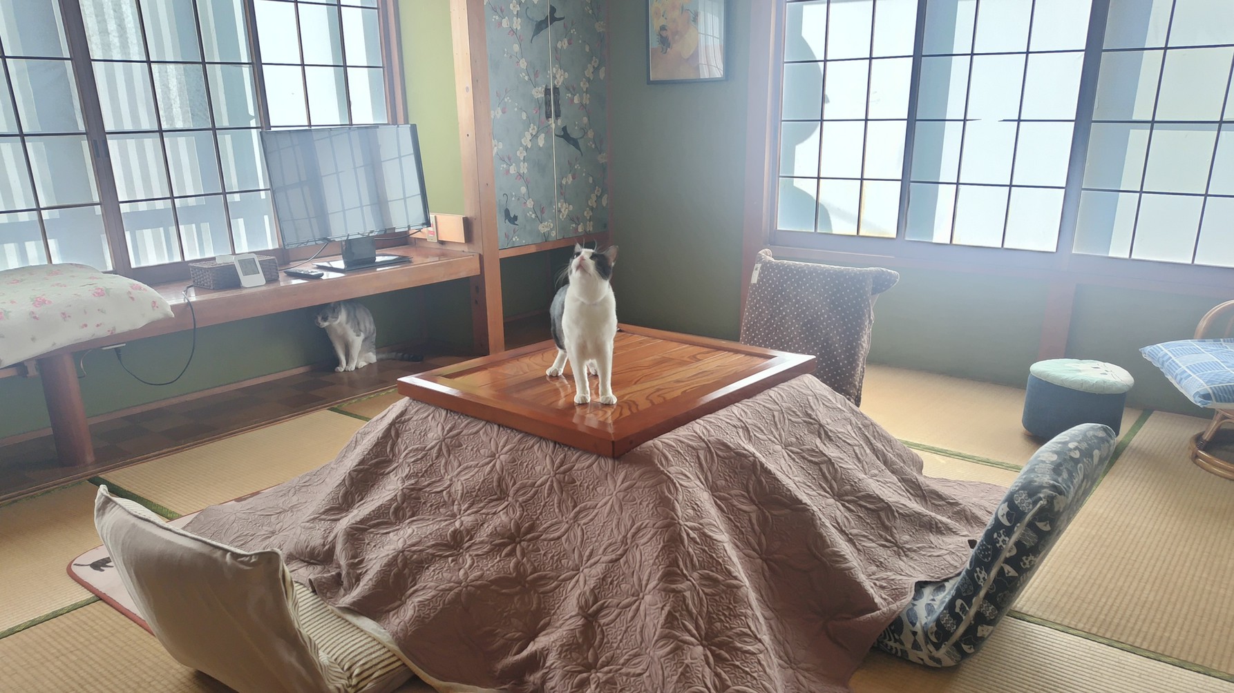 十畳こたつ