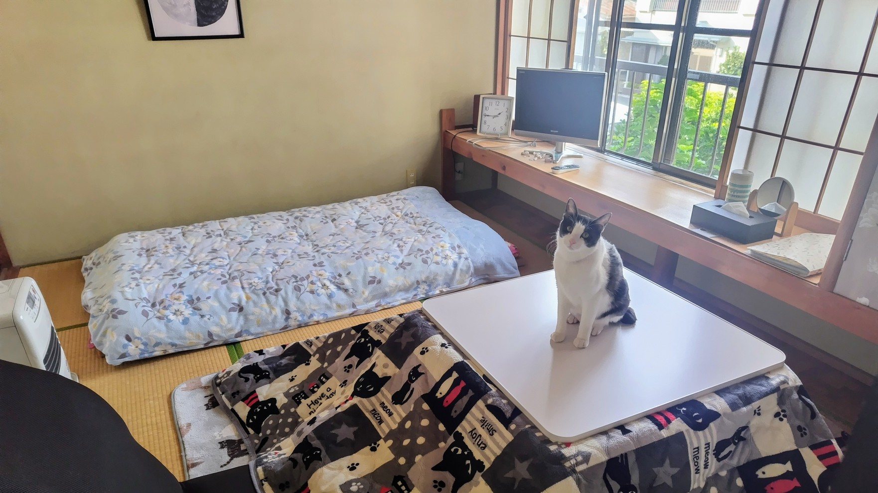 六畳おひとり部屋