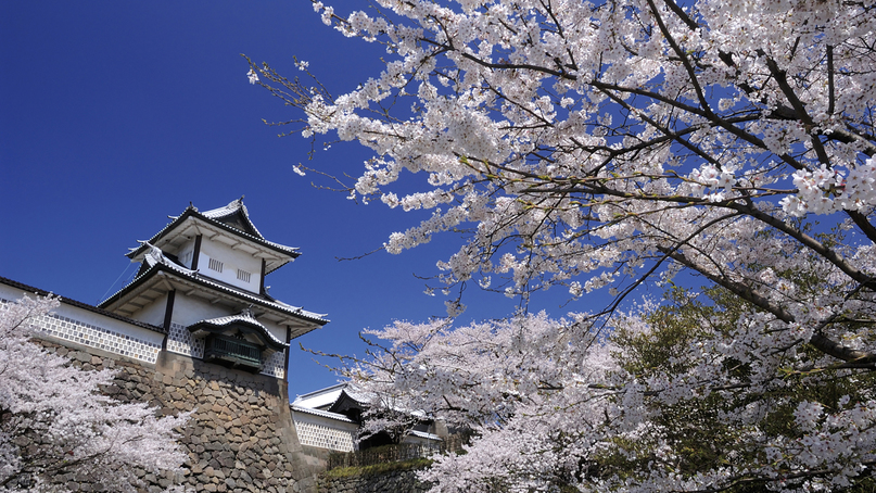 春の金沢城公園（当館から徒歩約２０分）