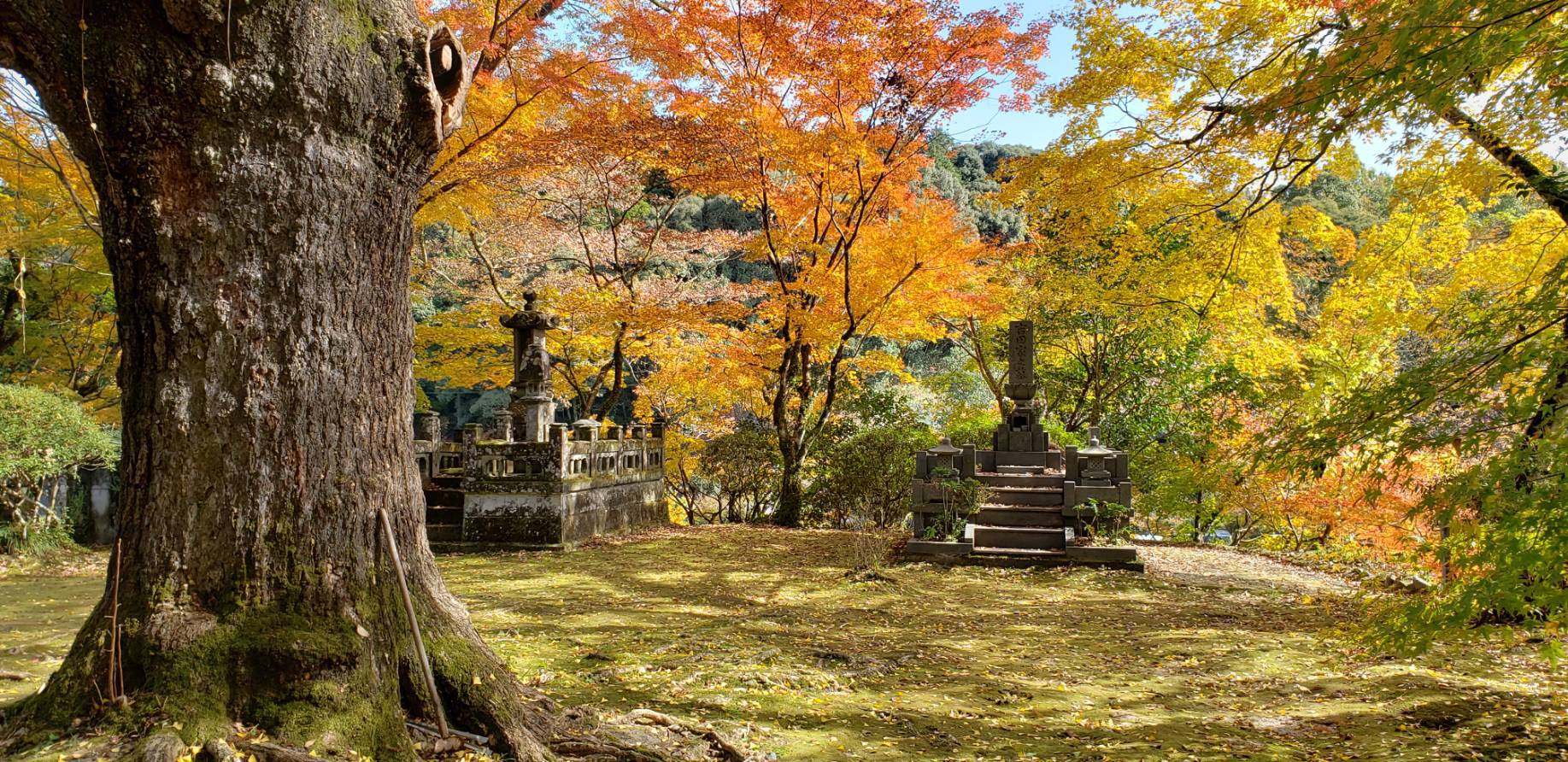 新宮寺（紅葉）