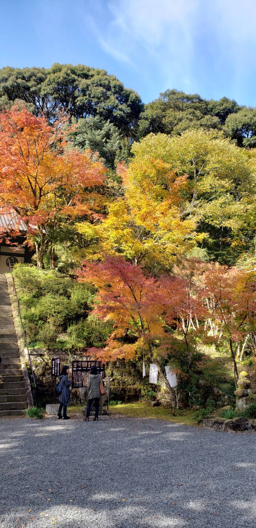 新宮寺（紅葉）