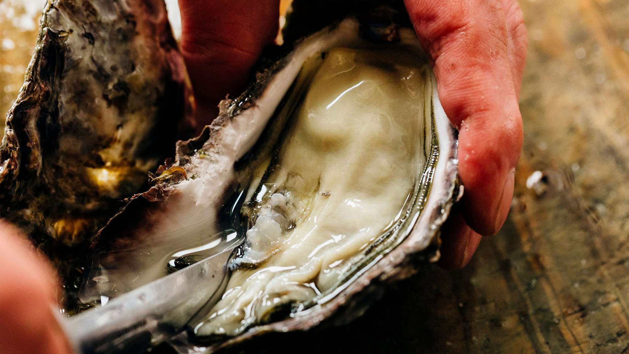 ・【牡蠣】濃厚な旨味あふれる地元の新鮮な牡蠣をお楽しみください