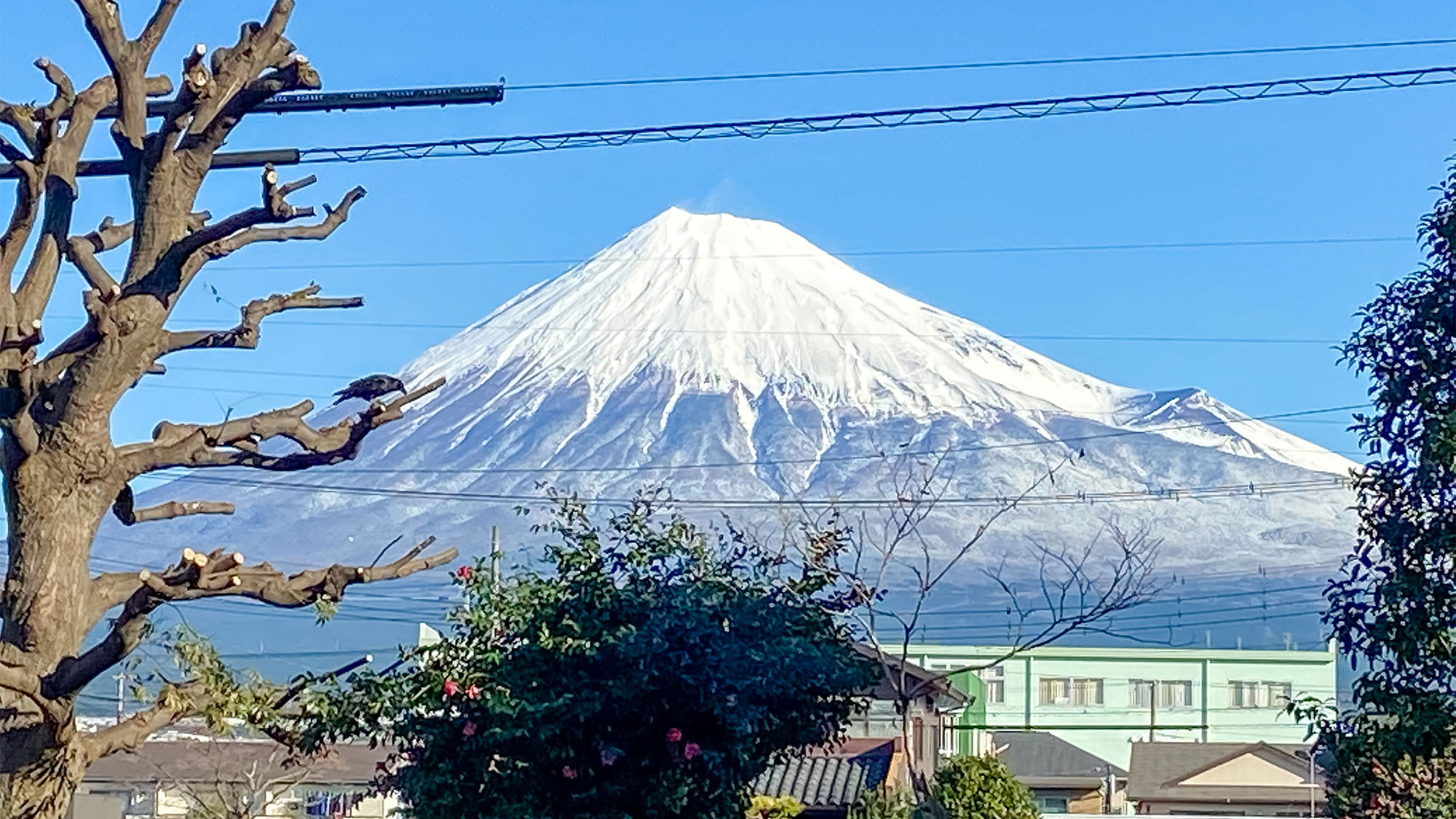 ・【富士山】広い青空にそびえ立つ富士山の姿