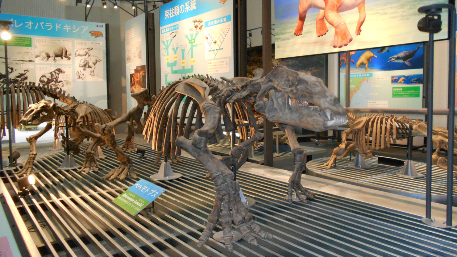  足寄動物化石博物館