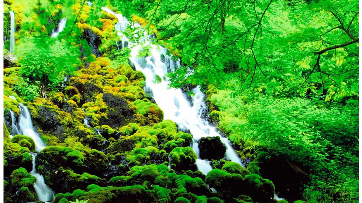 「原始の地球を再現」するオンネトー湯の滝