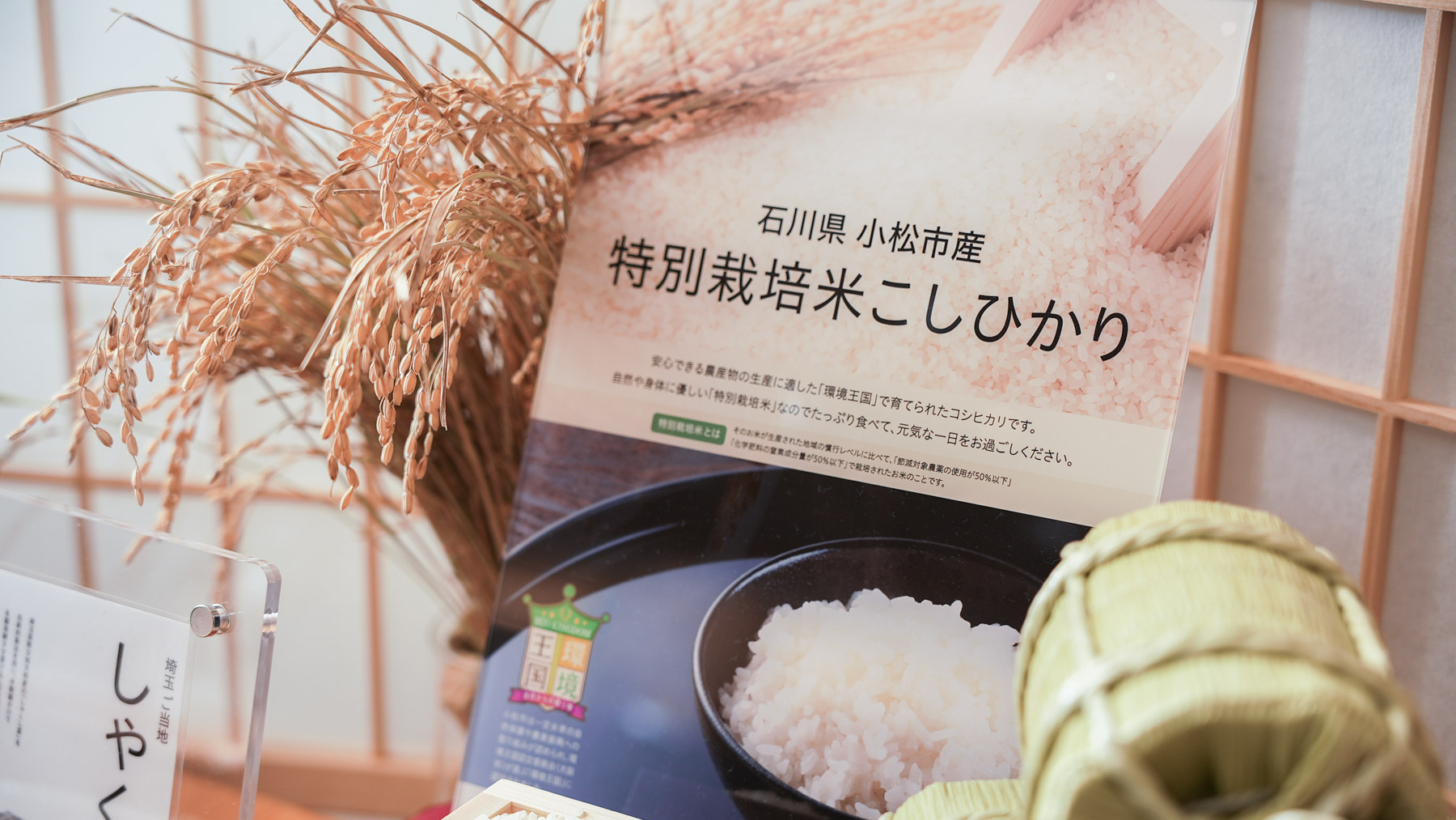 石川県小松市の環境王国で育てられた自然に優しい特別栽培米コシヒカリ