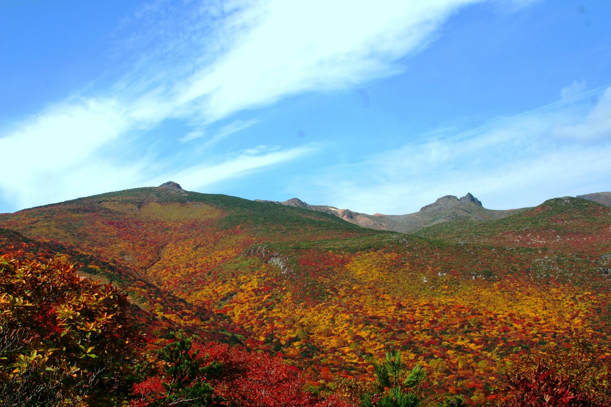 安達太良山の紅葉