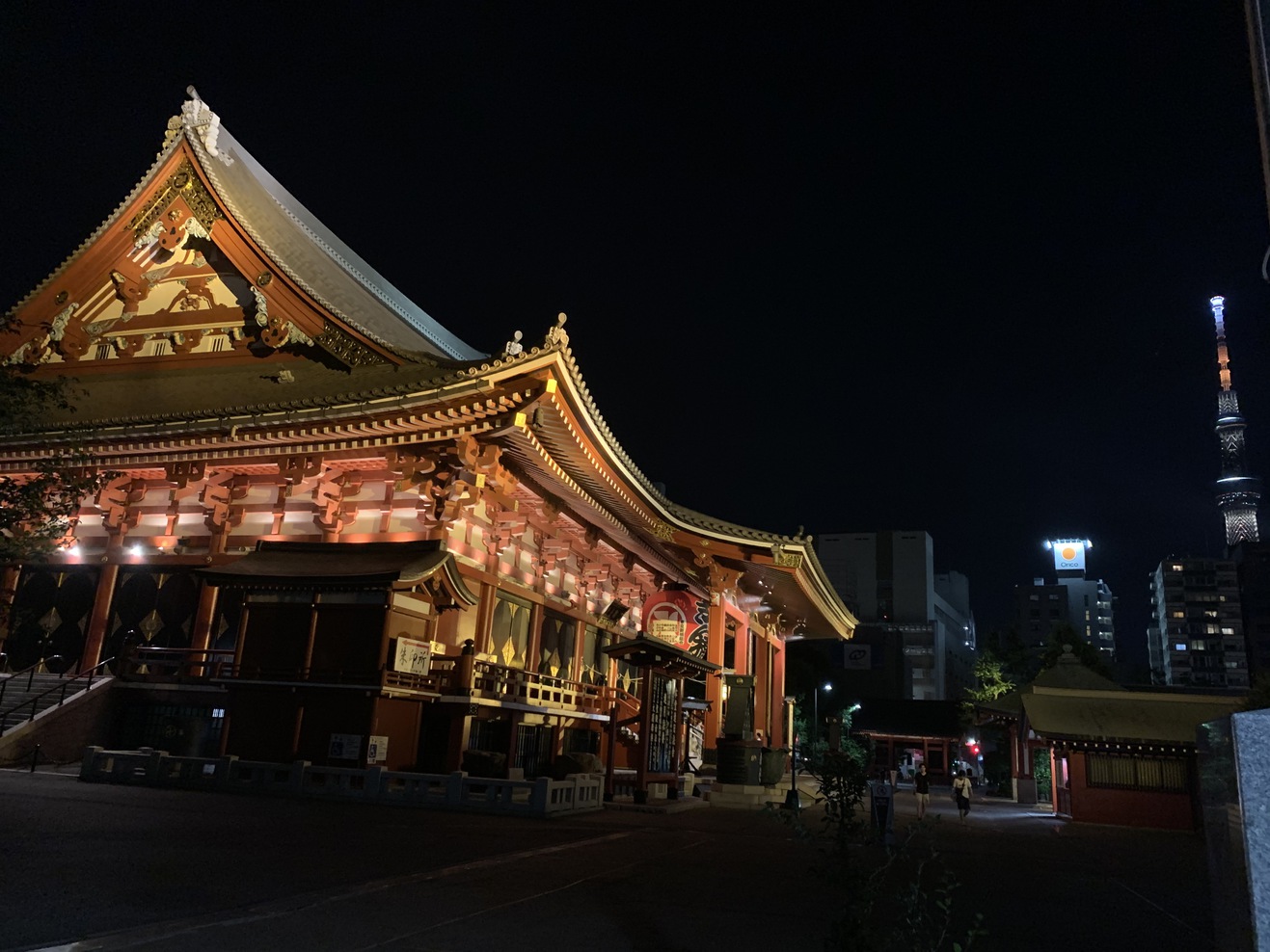 【周辺環境】浅草寺のライトアップです