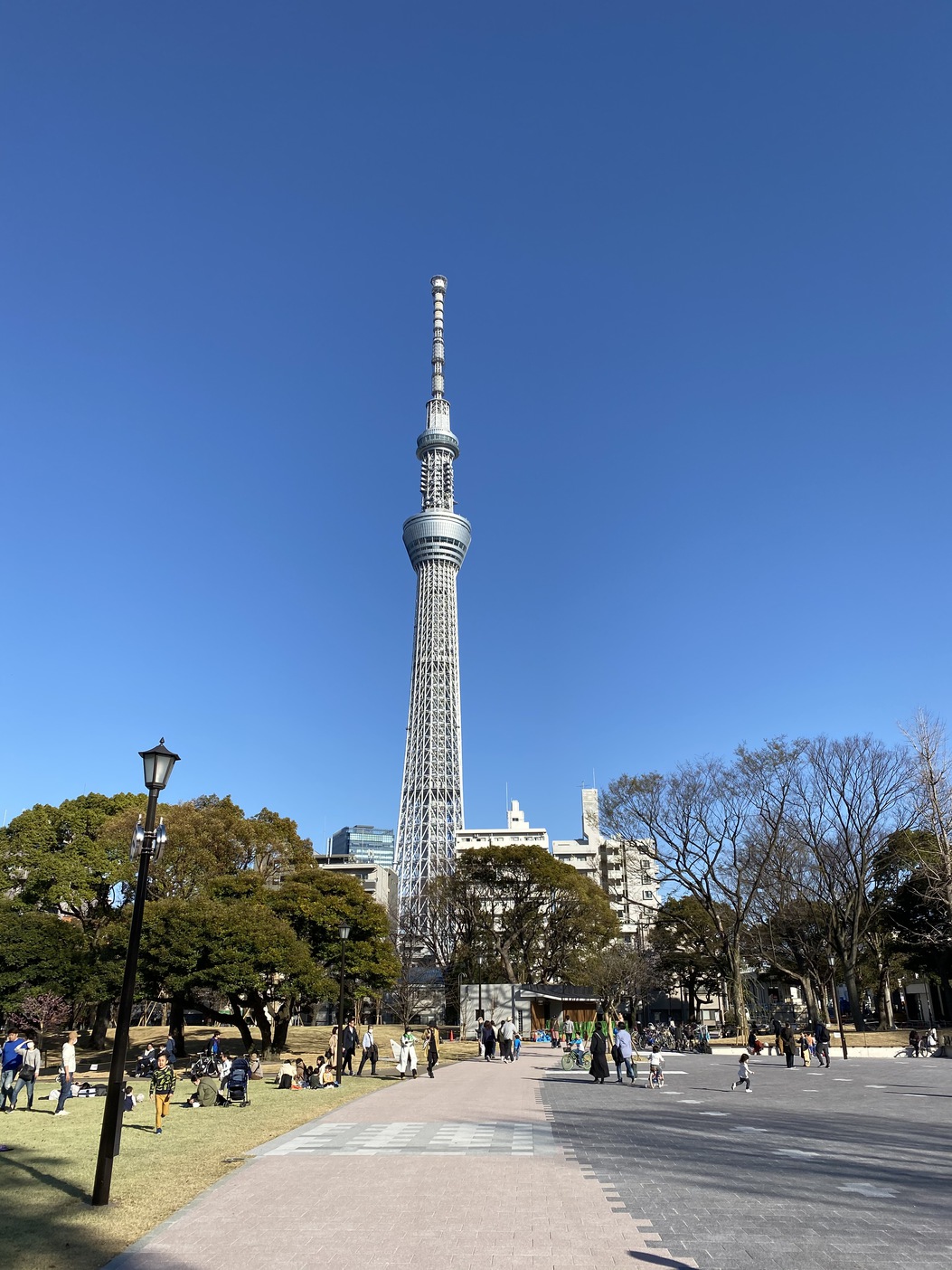 【周辺環境】スカイツリー