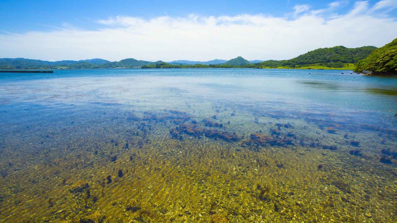 【景色】Calme(カルム)の庭からの眺め。天気の良い日は久美浜湾の透明度が高いです。