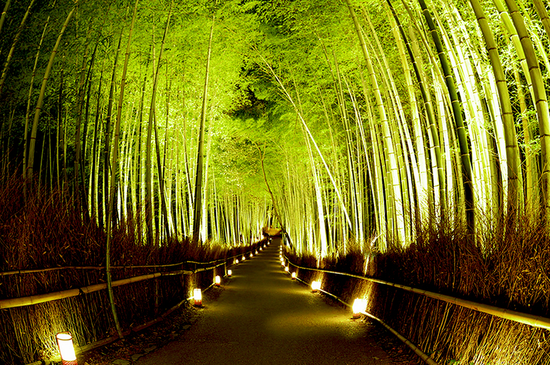 嵐山竹林の小径