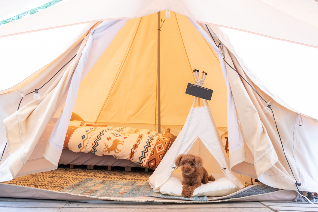 【客室】室数限定のドッググランピングテント
