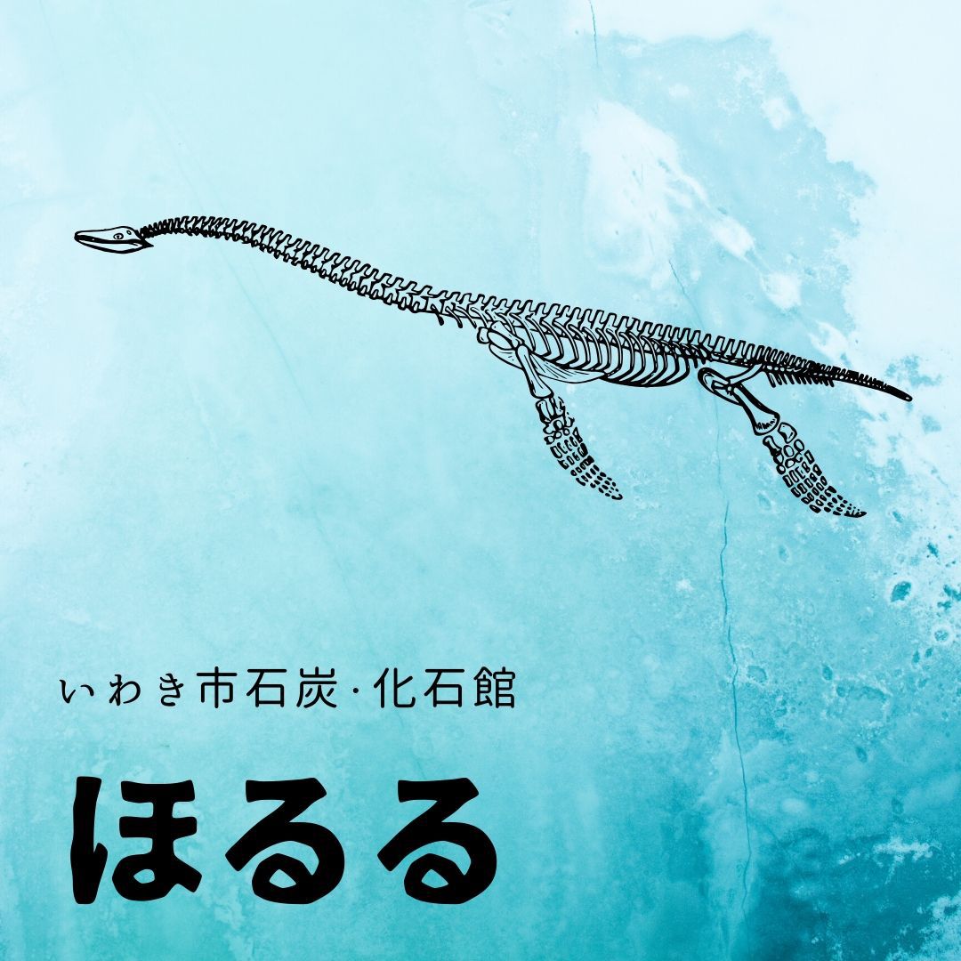 Iwakiyumoto Onsen Saikiku Image 5, Iwaki, Japan