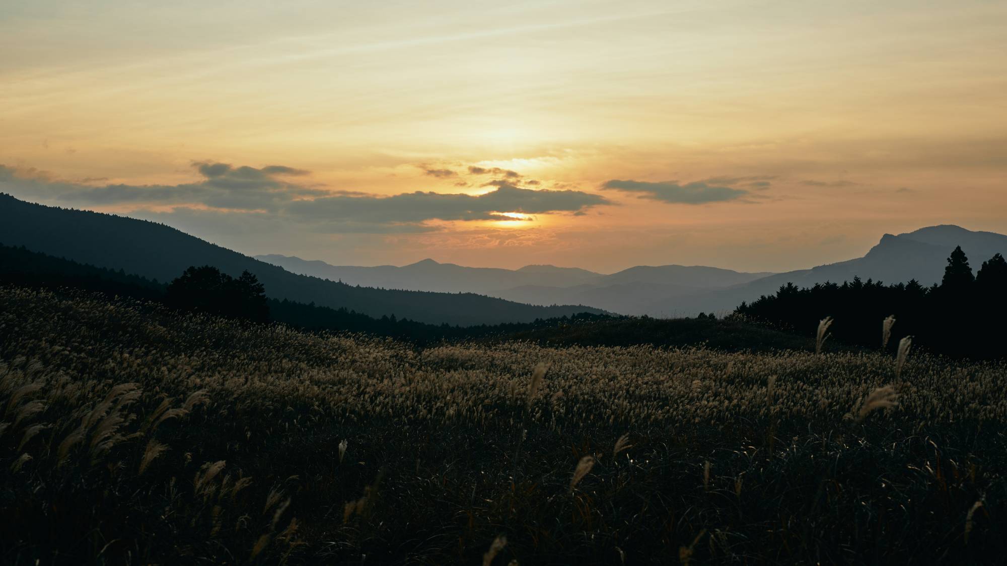 曽爾高原