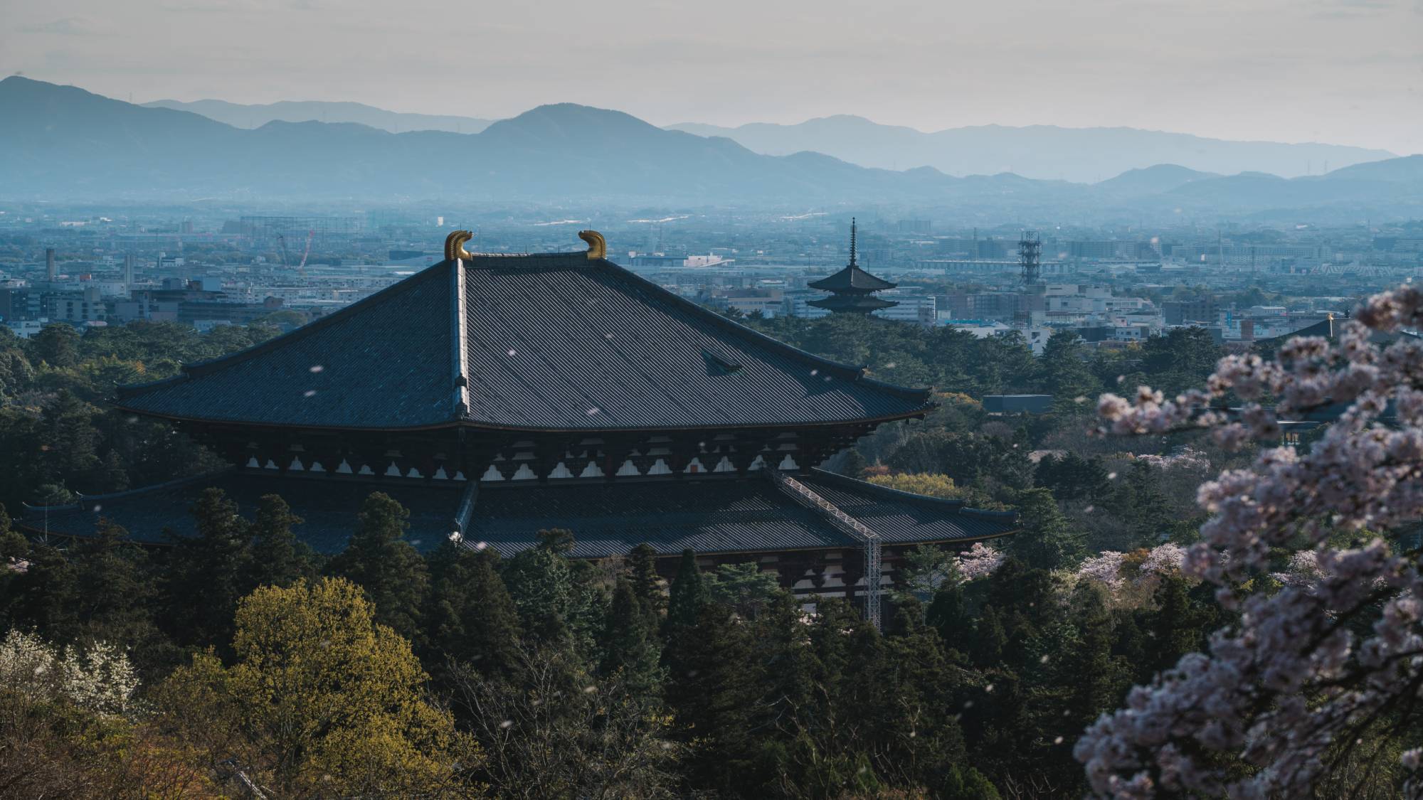 春の東大寺