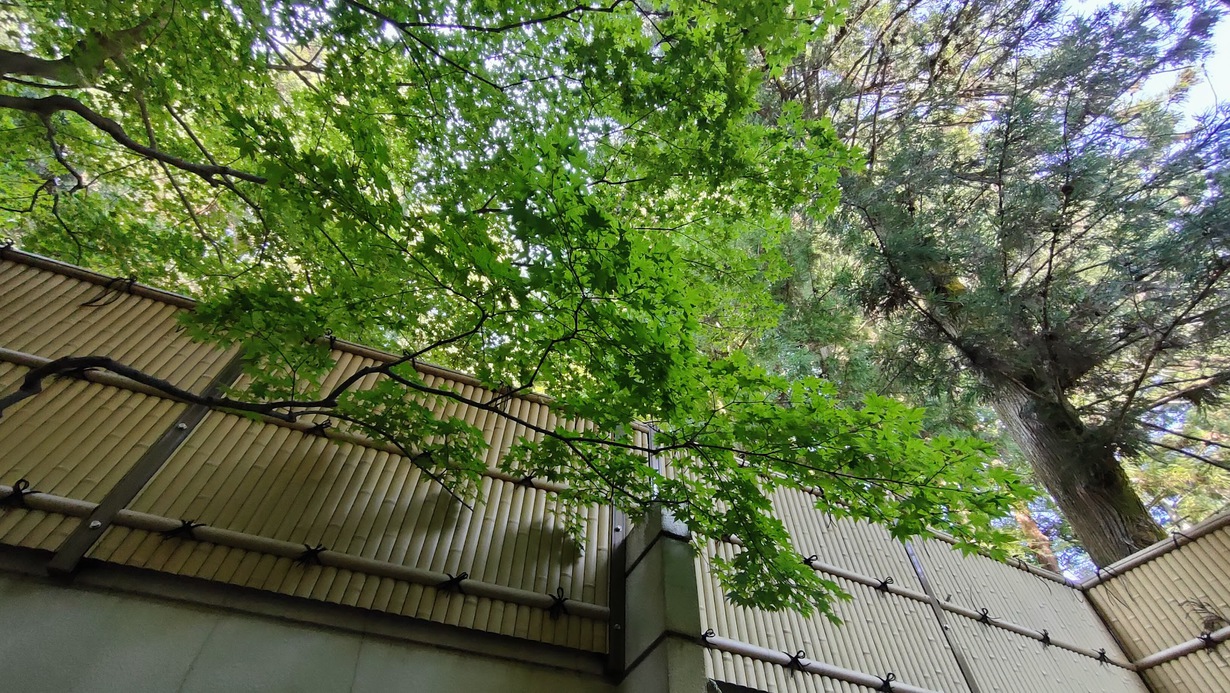 大浴場(月の雫)｜露天風呂