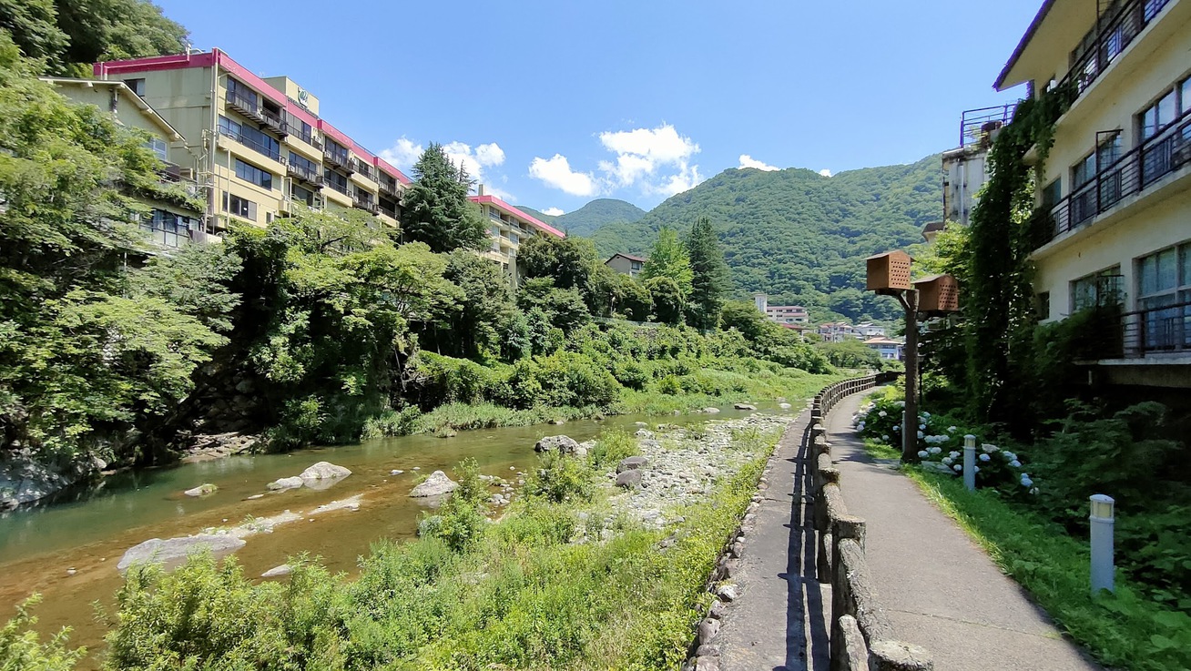 川沿いのお散歩も気持ちが良いですよ