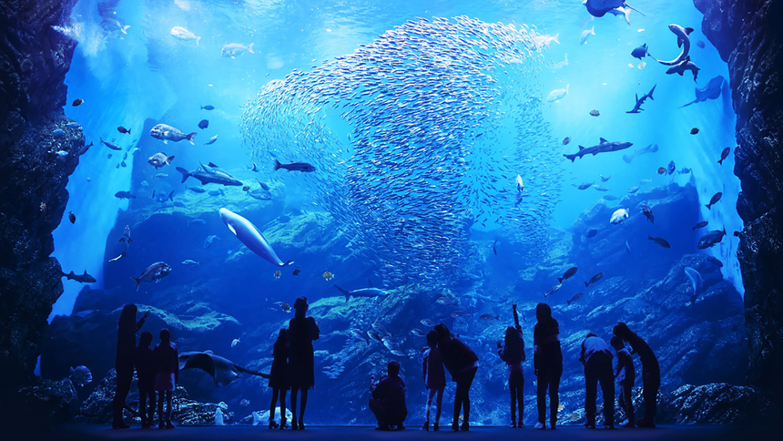 仙台うみの杜水族館