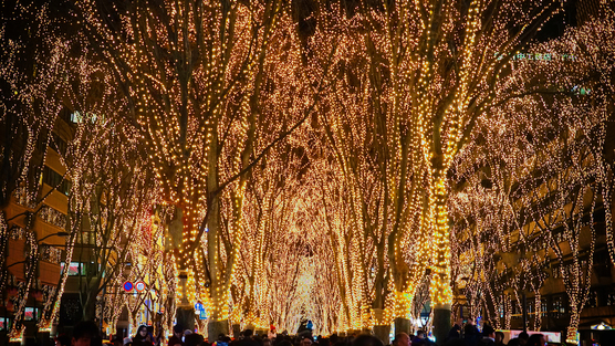 仙台光のページェント開催時期：毎年12月上旬〜31日