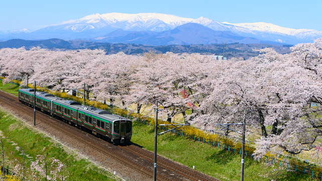 残雪の蔵王と白石川一目千本桜をバックに走る東北本線