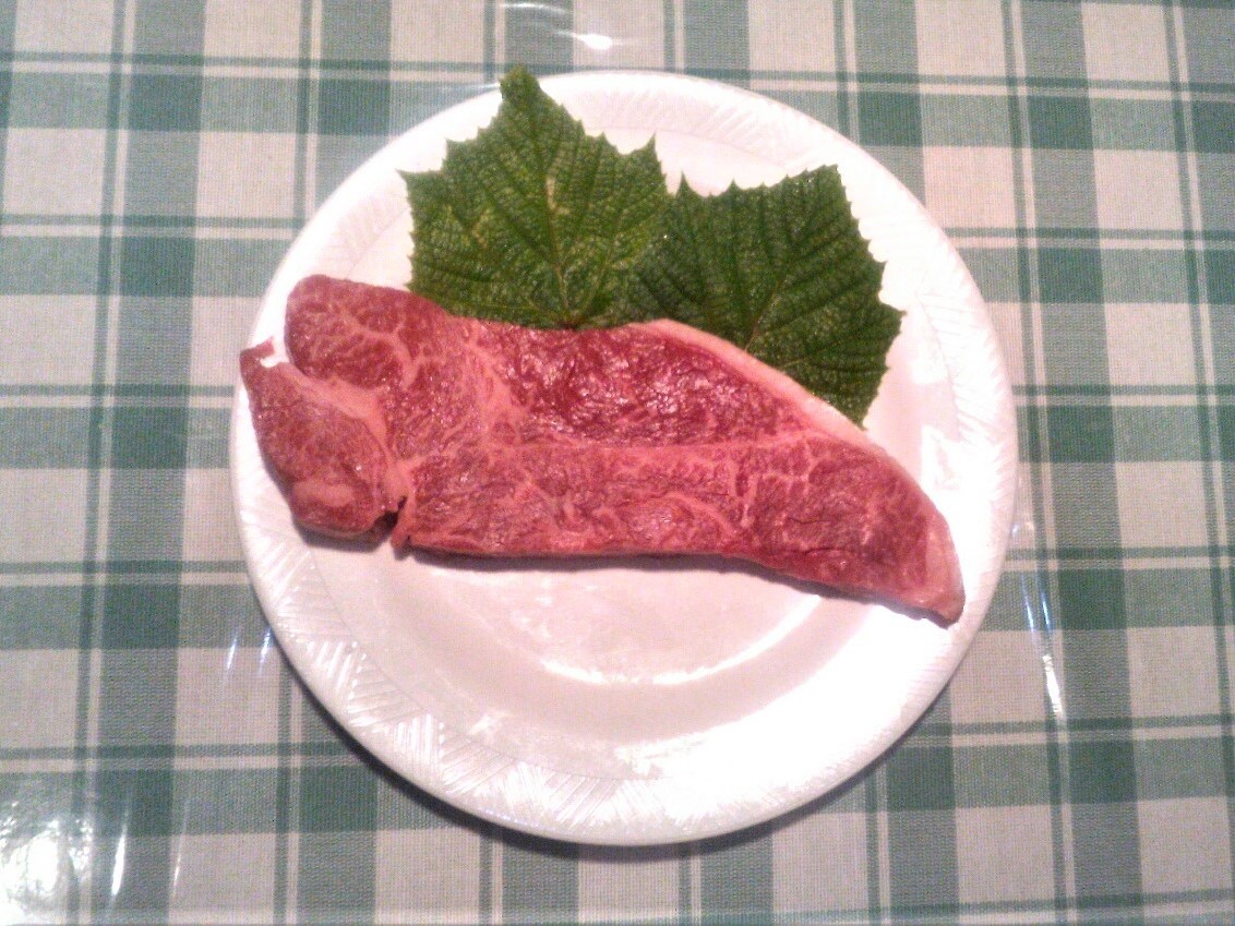 Pension Tenshi no Tsubasa Image 4, Itoigawa, Japan