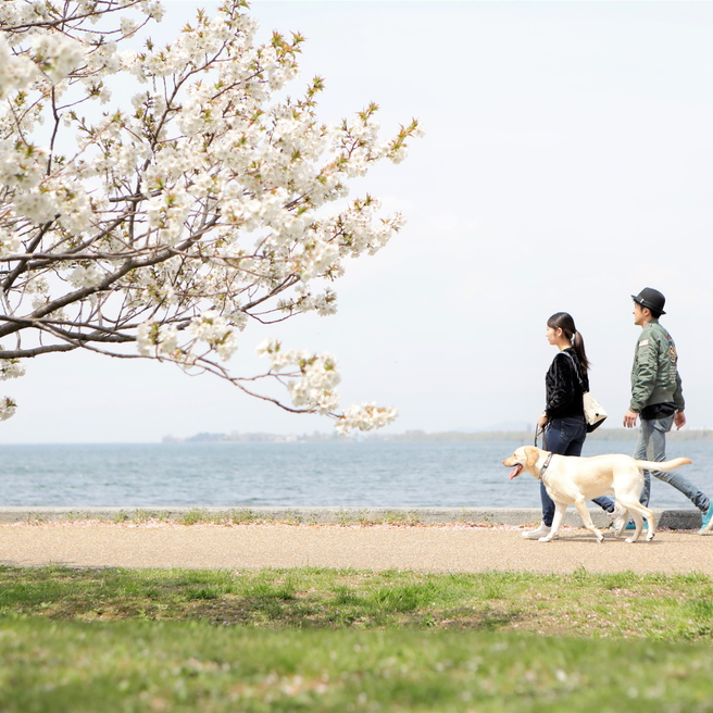 当館より徒歩5分の豊公園。愛犬とのお散歩に最適です。