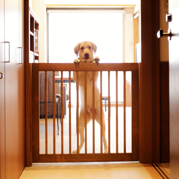 飛び出し防止ゲートがございます