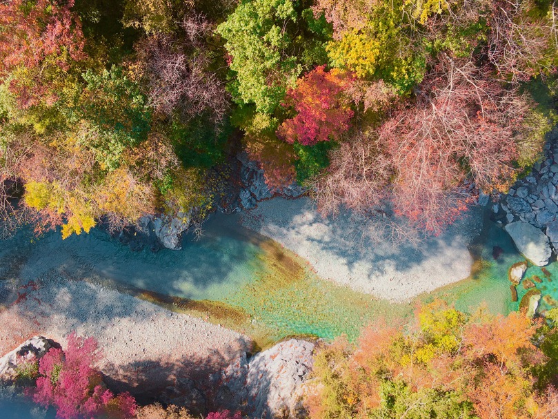 祖谷渓の紅葉と祖谷川