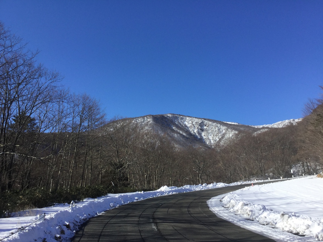 近くの散歩道