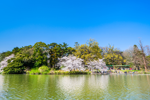 大宮公園