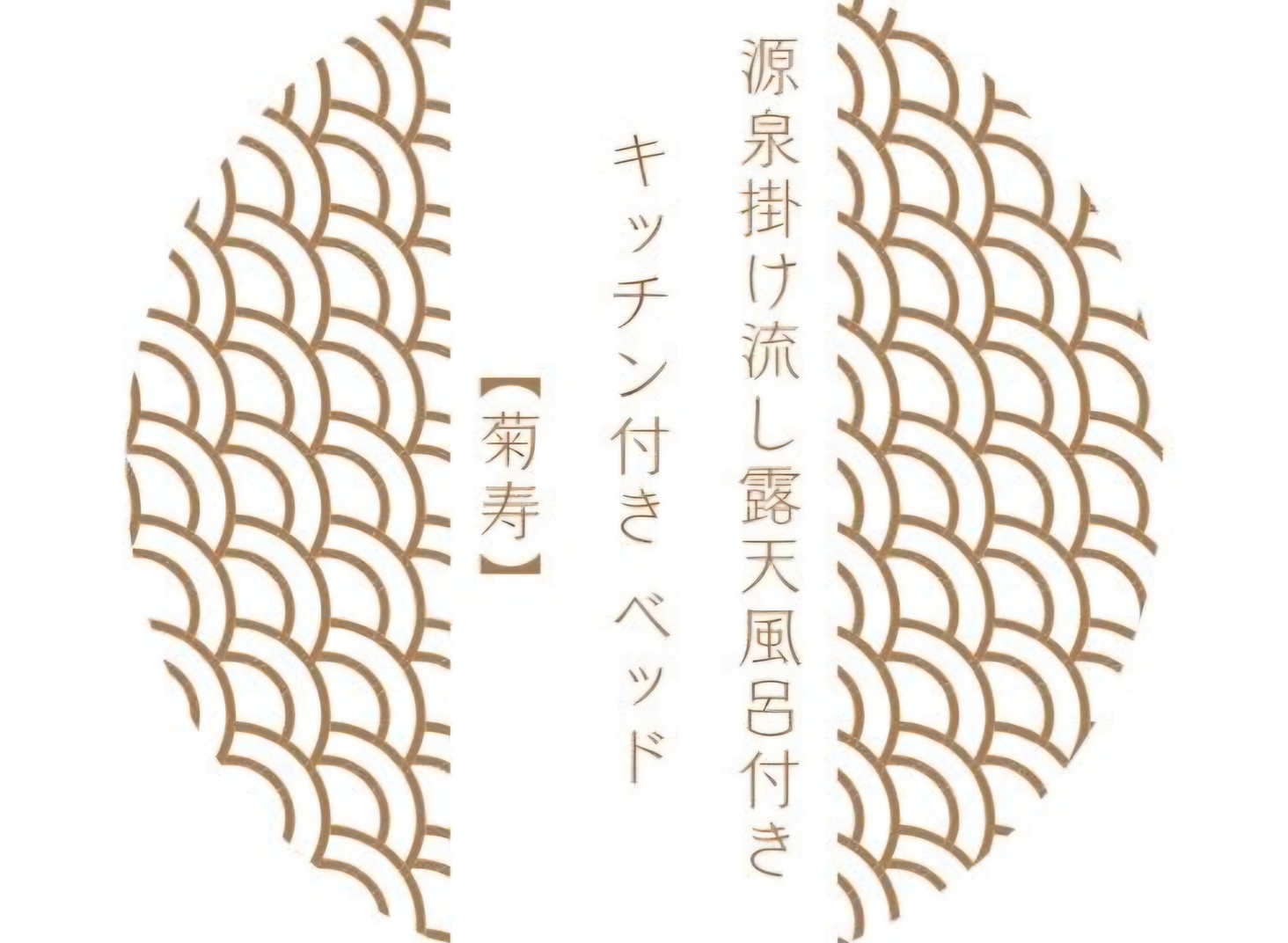 ロゴ菊寿