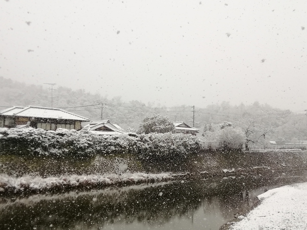 京都の冬