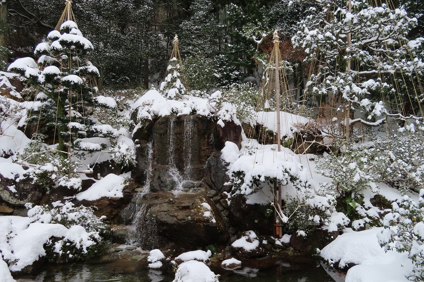 【フロントロビー】雪吊りの冬景色（12月下旬撮影）