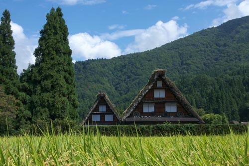 白川郷かん町附近（夏）