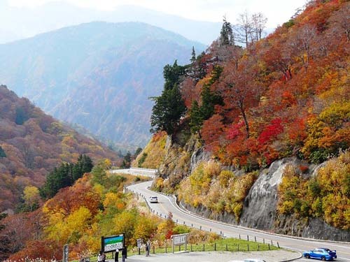 白山スーパー林道紅葉（秋）