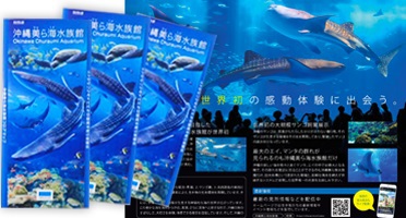 美ら海水族館