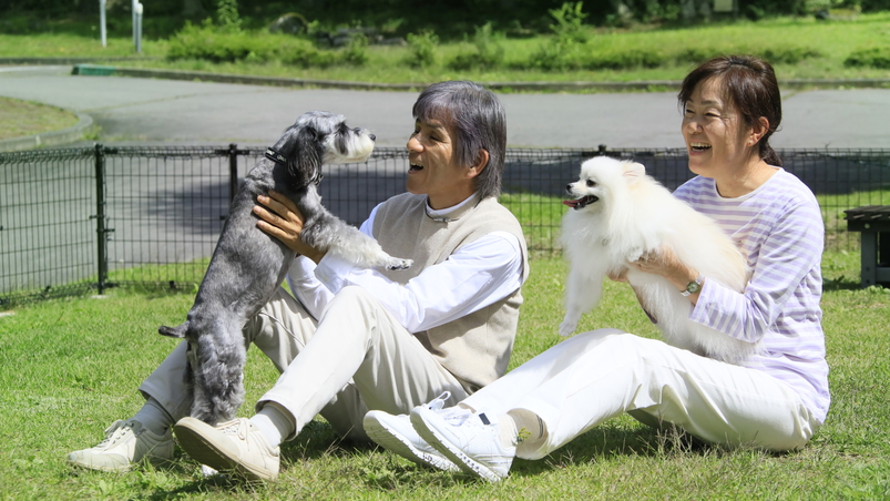 ウェルカムドッグラン｜わんちゃんのため、芝のお手入れは欠かしません！