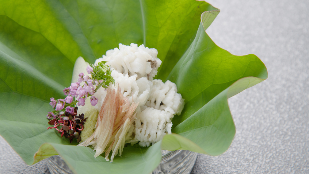 *【ハモ湯引き】鱧の繊細な味わと触感をお楽しください