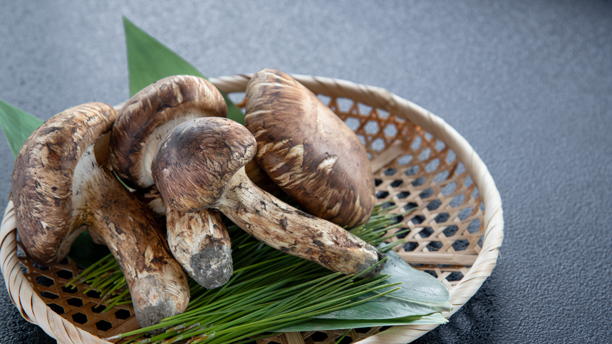 *【松茸素材】秋の食材の王様