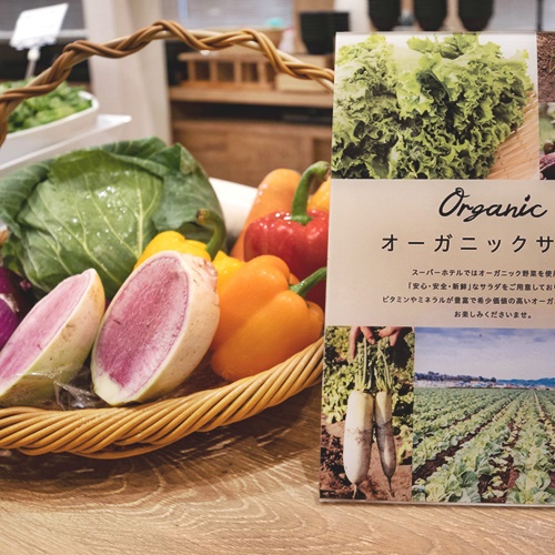 【Organic】健康な土から生まれたオーガニック野菜はビタミンCやミネラルがたっぷり