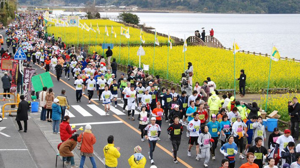 菜の花マラソンの光景