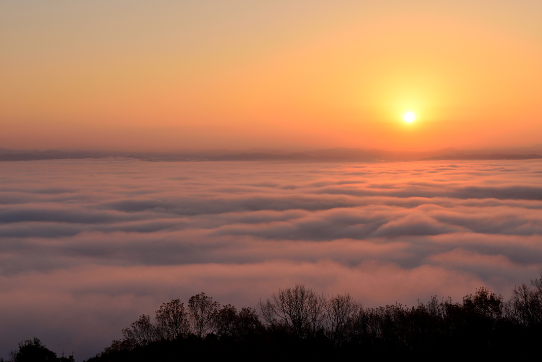 高谷山雲海