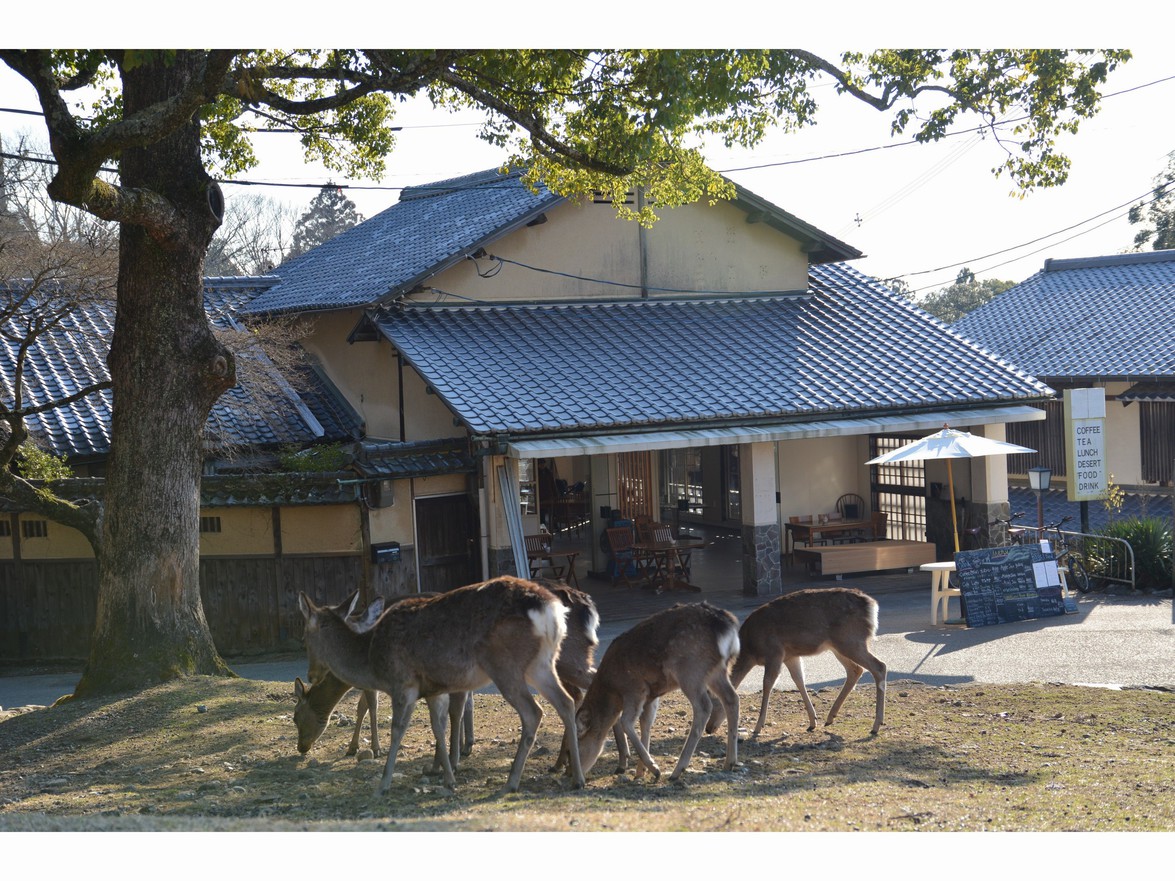 Mountain Home Lodge外観