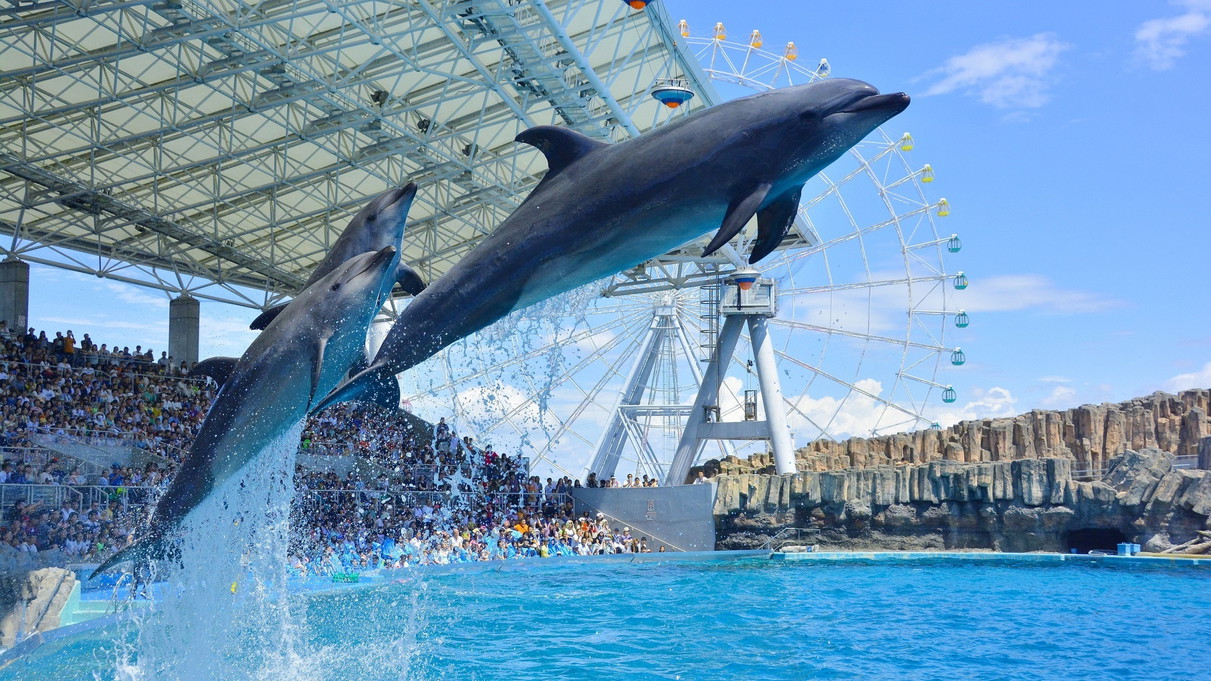 名古屋港水族館